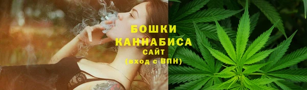 шишки Балабаново