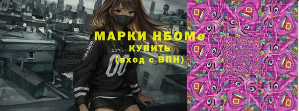 шишки Балабаново