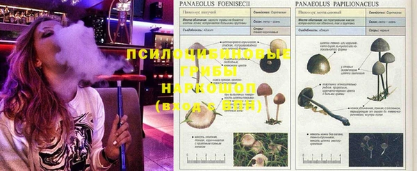 шишки Балабаново