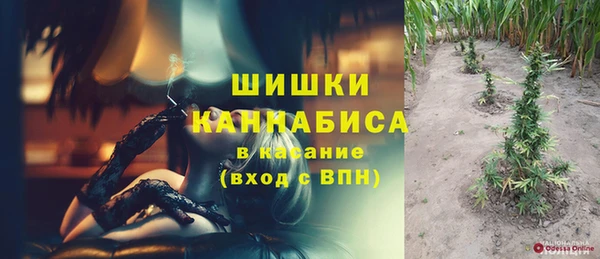 шишки Балабаново