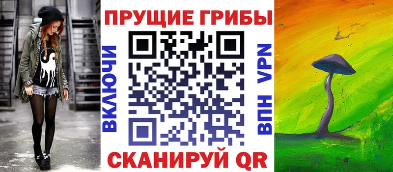 Псилоцибиновые грибы мухоморы  купить наркотик  Козловка 